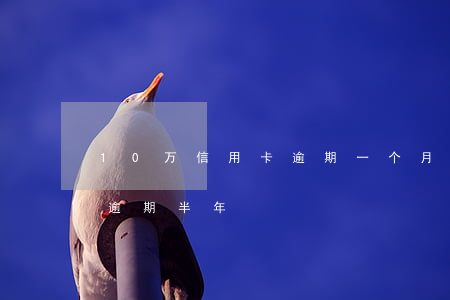 10万信用卡逾期一个月多少钱（十万信用卡逾期半年）