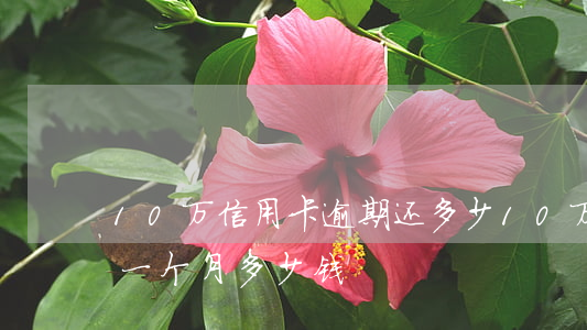 10万信用卡逾期还多少(10万信用卡逾期一个月多少钱)