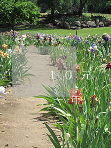 10元額度信用卡逾期(信用卡10塊錢逾期一年)