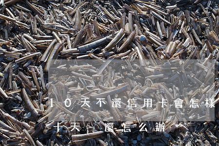 10天不還信用卡會怎樣(如果信用卡超過二十天沒還怎么辦)