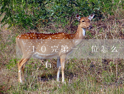 10完第一順位怎么繼承(第一二順位繼承都沒有)