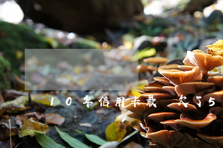 10年信用卡最終欠了50多萬-