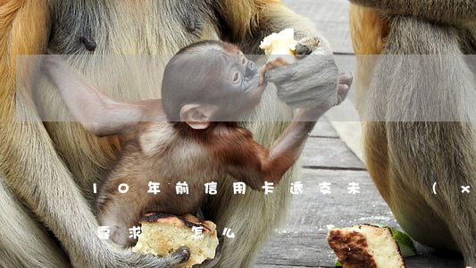 10年前信用卡透支未還現(xiàn)在要求還怎么辦