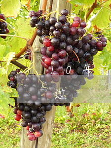10年前信用卡逾期过（10年前信用卡逾期过）