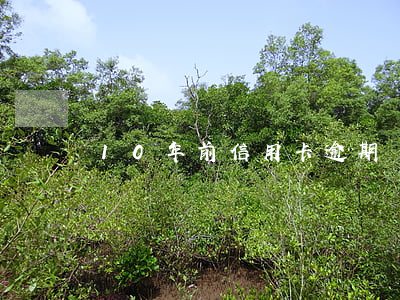 10年前信用卡逾期還有沒有征信