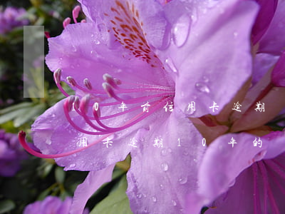 10年前信用卡逾期還有沒有征信(有沒有信用卡逾期10年的)