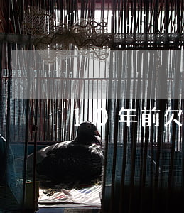 10年前欠信用卡兩千一直沒還-