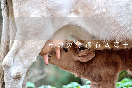 10年的欠條還有效嗎(十年前的欠條還有效嗎)
