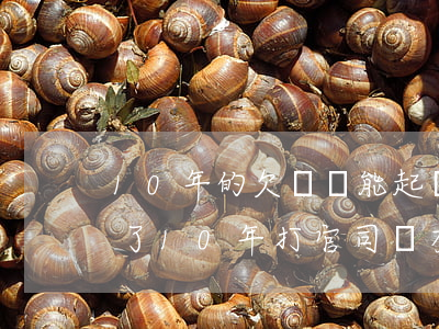 10年的欠條還能起訴嗎(欠條過(guò)了10年打官司還有用嗎)