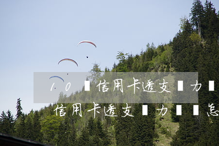 10張信用卡透支無力償還怎么辦-10張信用卡透支無力償還怎么辦呢