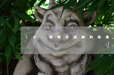 10張信用卡逾期的后果是什么樣