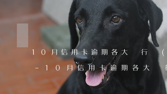10月信用卡逾期各大銀行規(guī)定-10月信用卡逾期各大銀行規(guī)定不能辦理