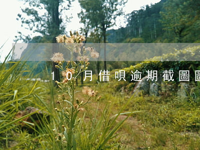 10月借唄逾期截圖圖片