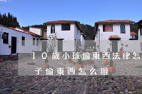 10歲小孩偷東西法律怎么處理(十幾歲的孩子偷東西怎么辦)