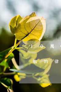 10萬(wàn)律師費(fèi)是怎么收的(律師費(fèi)十萬(wàn)元多不多)
