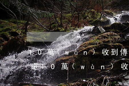 10萬(wàn)收到傳票無(wú)力償還(10萬(wàn)收到傳票無(wú)力償還怎么辦)