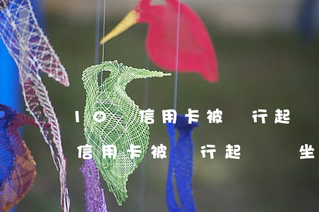 10萬信用卡被銀行起訴會坐牢嗎-10萬信用卡被銀行起訴會坐牢嗎知乎