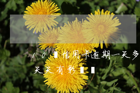 10萬信用卡逾期一天多少錢（信用卡逾期十天天有影響嗎）