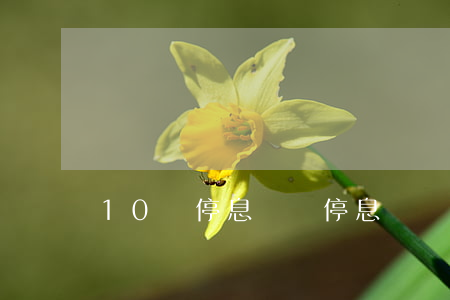10萬停息掛賬 停息掛賬還有利息嗎
