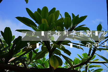 10萬元信用卡逾期無力償還會(huì)怎樣-10萬元信用卡逾期無力償還會(huì)怎樣處理