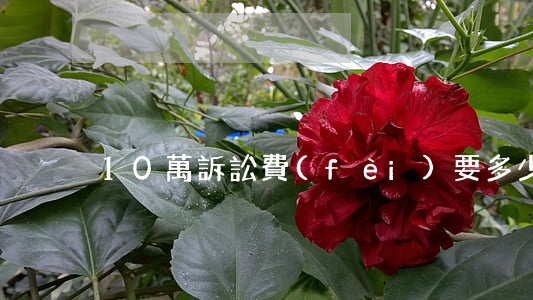 10萬訴訟費(fèi)要多少錢
