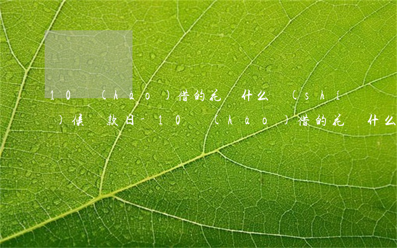 10號(hào)借的花唄什么時(shí)候還款日-10號(hào)借的花唄什么時(shí)候還款日期算逾期