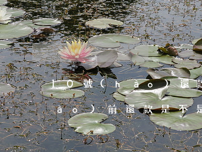 10號(hào)還款算逾期嗎(10號(hào)前還款是不是10號(hào))
