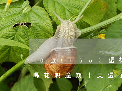 10號(hào)還花唄會(huì)逾期嗎(花唄逾期十天還了之后還會(huì)有額度嗎)