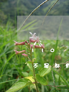 110報警后會留下案底嗎(報警處理事情是不是都有案底)