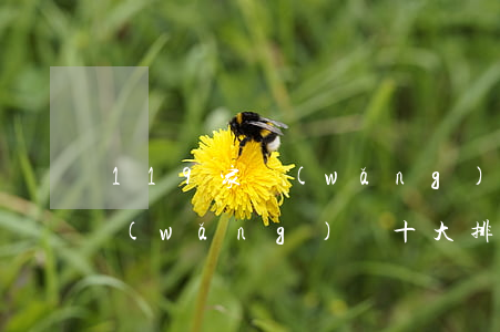 119家網(wǎng)貸逾期排名(黑心網(wǎng)貸十大排名50家網(wǎng)貸違規(guī)名單)