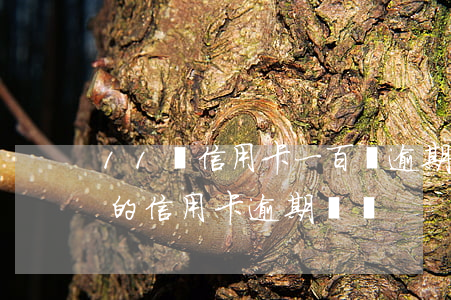 11張信用卡一百萬逾期怎么辦(100多塊的信用卡逾期記錄)