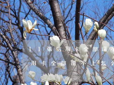 11張信用卡全部還不上怎么辦-11張信用卡全部還不上怎么辦呢