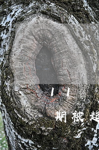 11張信用卡從未逾期(11張信用卡從未逾期被起訴)