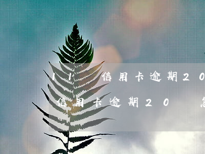 11張信用卡逾期20萬怎么處理-11張信用卡逾期20萬怎么處理的