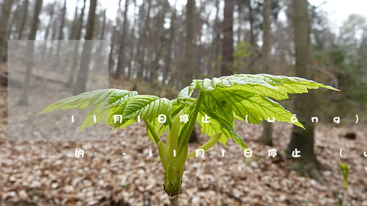 11月1日停止網(wǎng)貸催收是真的嗎-11月1日停止網(wǎng)貸催收是真的嗎嗎