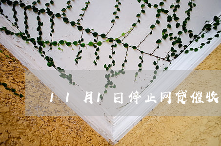 11月1日停止网贷催收(网贷平台催收新政)