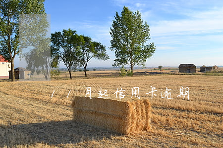 11月起信用卡逾期