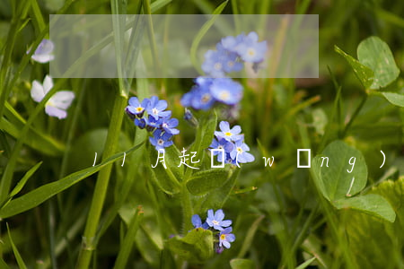 11月起網(wǎng)貸催收取消