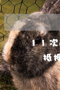 11次逾期能抵押貸款嗎(信用卡逾期14次辦抵押貸款)