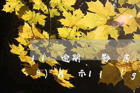 11筆逾期記錄影響房貸(房貸漏交一個(gè)月 顯示 11個(gè)月逾期)