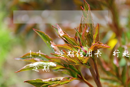 11萬逾期信用卡銀行起訴-信用卡15萬逾期