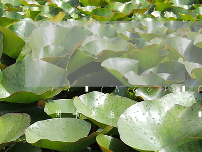 11號(hào)轉(zhuǎn)賬給信用卡算逾期嗎 11號(hào)轉(zhuǎn)賬給信用卡算逾期嗎嗎