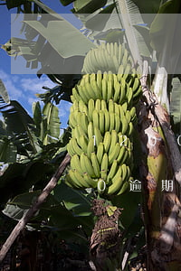 12000逾期二個月利息多少-12000逾期二個月利息多少錢