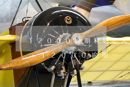 12000逾期利息怎么計(jì)算日利-12000逾期一個(gè)月罰息多少