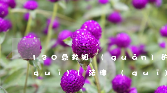 120急救相關(guān)的法律法規(guī)(法律規(guī)定120多久來猜是合法的)