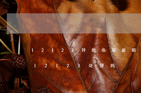 12123异地违章逾期 异地违章可以通过12123处理吗