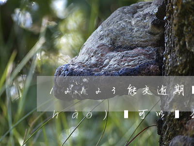 12123能交逾期嗎(12123逾期號(hào)碼可以選么)