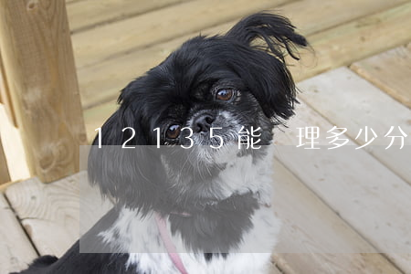 12135能處理多少分違章