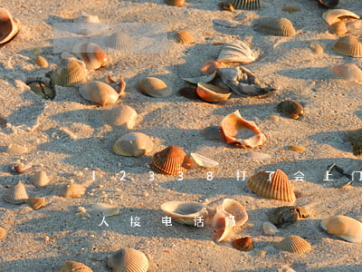12338打了会上门吗(12315晚上有人接电话吗)