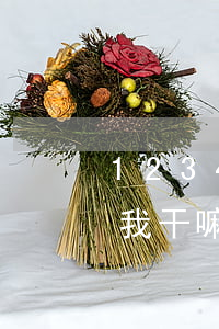 12340可以拨打吗(12340打电话给我干嘛)